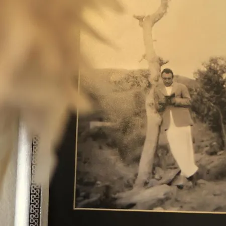 Aya Nikola فندق