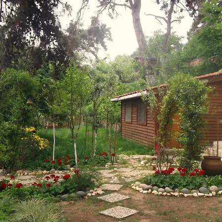 Aya Nikola فندق