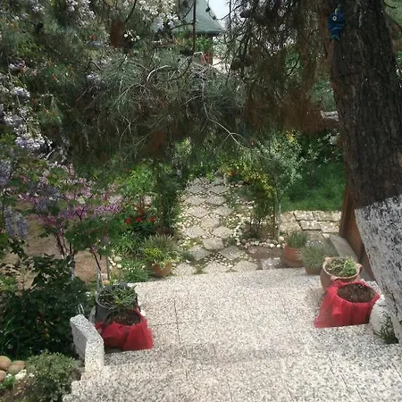 Aya Nikola 3* بويوكادا
