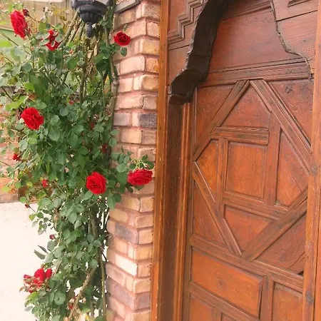 Aya Nikola فندق